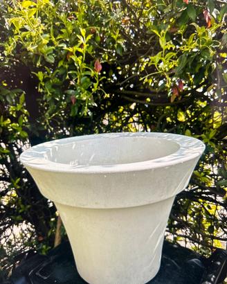 Vaso plastica