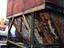 Immagine 6