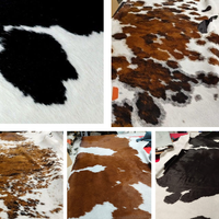 Chaise longue cavallino pezzatura colore a scelta