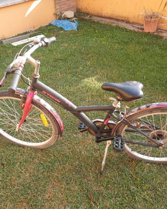 3 bici