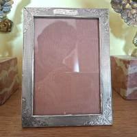 Cornice Portafoto Argento 800 anni 30 foto cm9x13