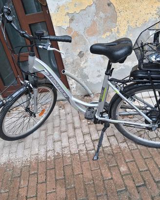 bicicletta elettrica 