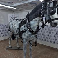 FINIMENTO COMPLETO SINGOLO 