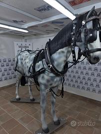 FINIMENTO COMPLETO SINGOLO 