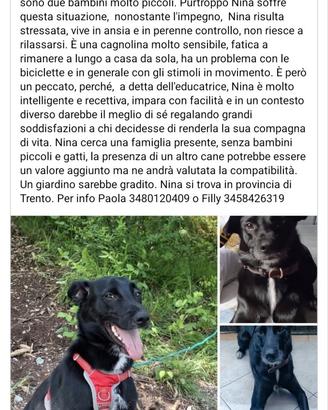 Nina