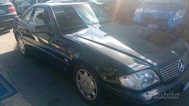 Mercedes-benz SL 300 SL-24 cat