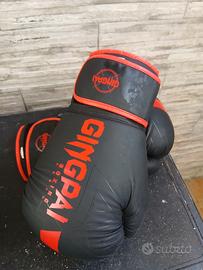 guantoni boxe