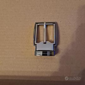 Fibia cintura Moreschi