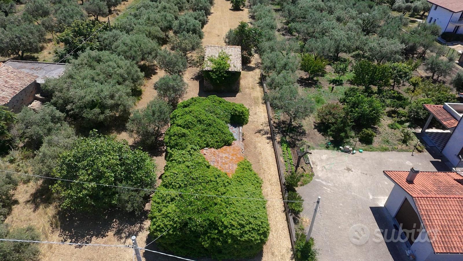 Terreno edificabile 2.000mq e rudere S.v. Chietino - Vista 2