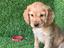 Immagine 6