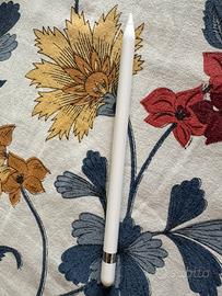 Apple Pencil 1a generazione