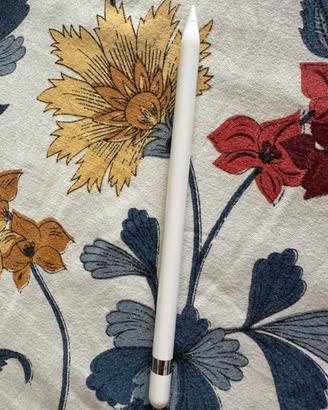 Apple Pencil 1a generazione
