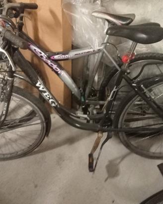 bicicletta weg