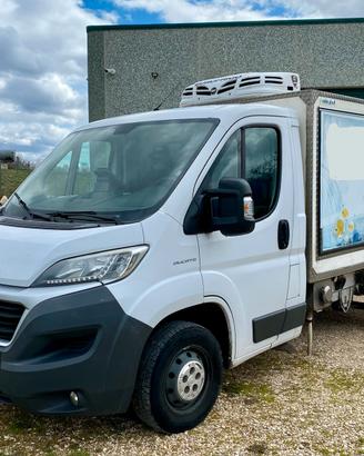 Fiat Ducato 2.3 MJT 150CV -Cella Frigo-Autonegozio