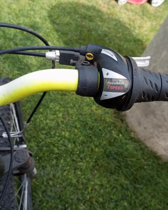 bicicletta 