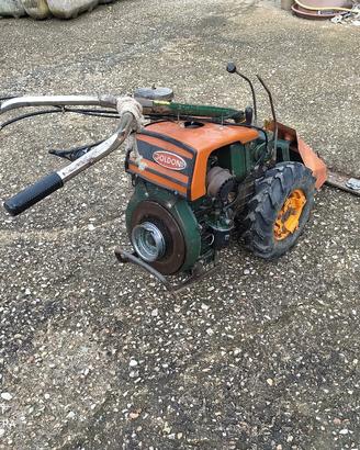 goldoni super 610 D