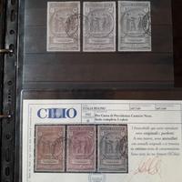 Camice nere certificati