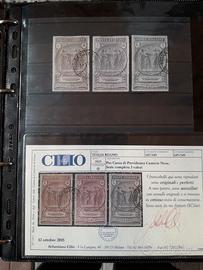 Camice nere certificati