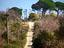 Immagine 5