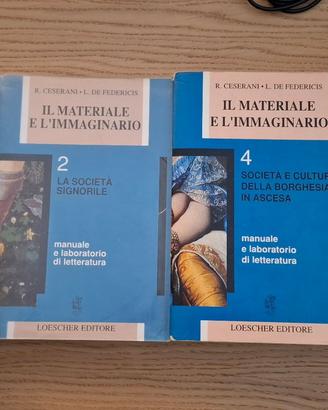 Libri letteratura italiana