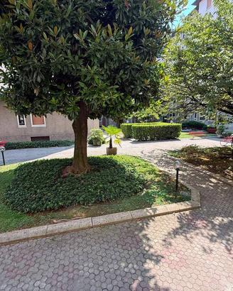 Stanza in appartamento di 30 m² a Milano