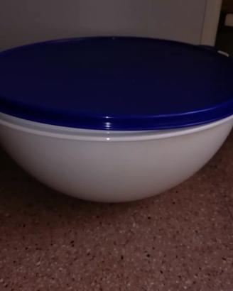 Contenitori Tapperware nuovi