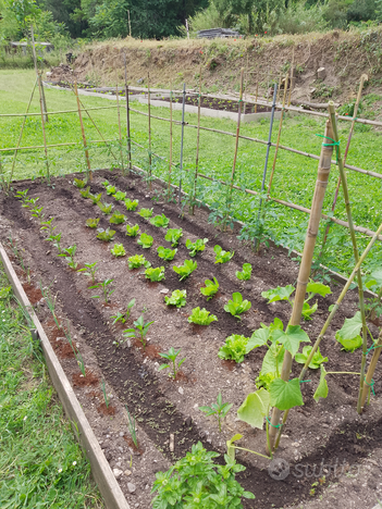 Terreno rustico