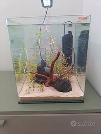 acquario completo