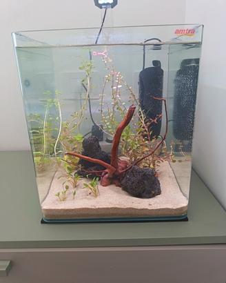 acquario completo
