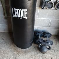 sacco box leone 1947