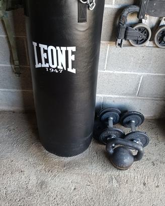sacco box leone 1947