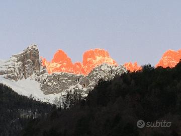 Appartamento Genziana