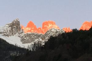 Appartamento Genziana