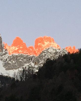 Appartamento Genziana