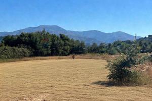 Terreno - Castiglione di Sicilia