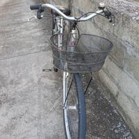bicicletta  città da donna