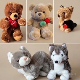 Lotto 5 Peluche - Orsi, Cane, Gatto, Husky -