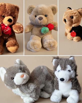 Lotto 5 Peluche - Orsi, Cane, Gatto, Husky -