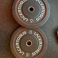 Dischi bumper Pro Lacertosus 10 kg - coppia