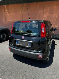 Panda 1.3 multijet