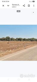 Terreno Agricolo Non Edificabile