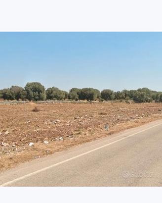 Terreno Agricolo Non Edificabile