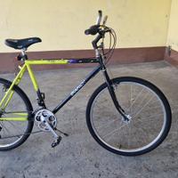MTB Bianchi del 26" con gomme antiforatura