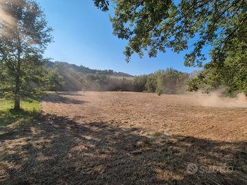 Terreno agricolo