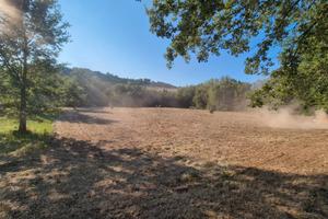 Terreno agricolo