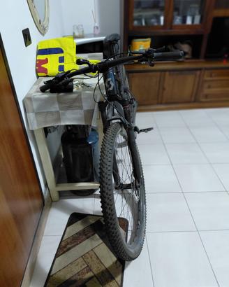 bici mtb