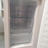 congelatore entro 23 marzo