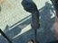 Immagine 19