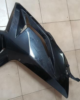 Carene rs125