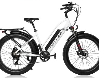 Bici elettrica Techbike 26 fat bafang 750w